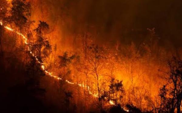 KEBAKARAN HUTAN DAN LAHAN KALIMANTAN 2026