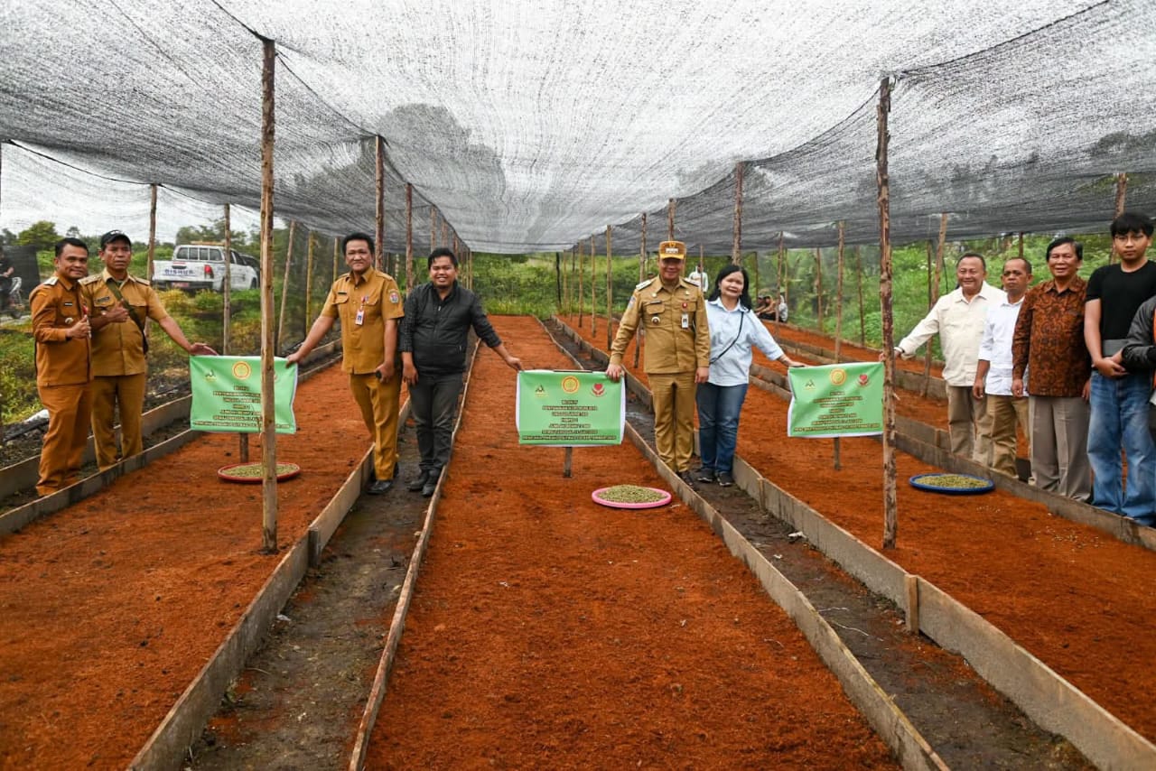 Komoditi Kopi Merupakan Andalan dan Sumber Pendapatan Petani Humbang Hasundutan