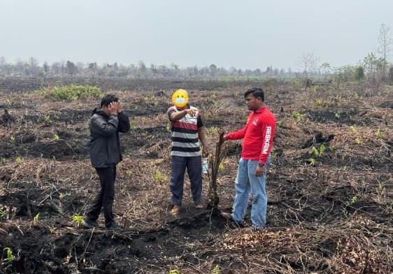 Pemilik Lahan Terbakar di Bengkalis Jadi Tersangka, Garap Kawasan Hutan Tanpa Izin